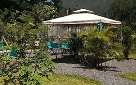 Chongos Place